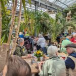 Foto von vielen Menschen, die im Palmencafé Hasloh an hölzernen Tischen sitzen. Zwischen den Tischen stehen zahlreiche Palmen.